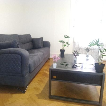 Charming Flat Center And Near The Lake Geneva Exterior photo