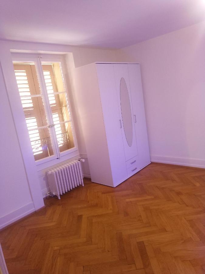 Charming Flat Center And Near The Lake Geneva Exterior photo