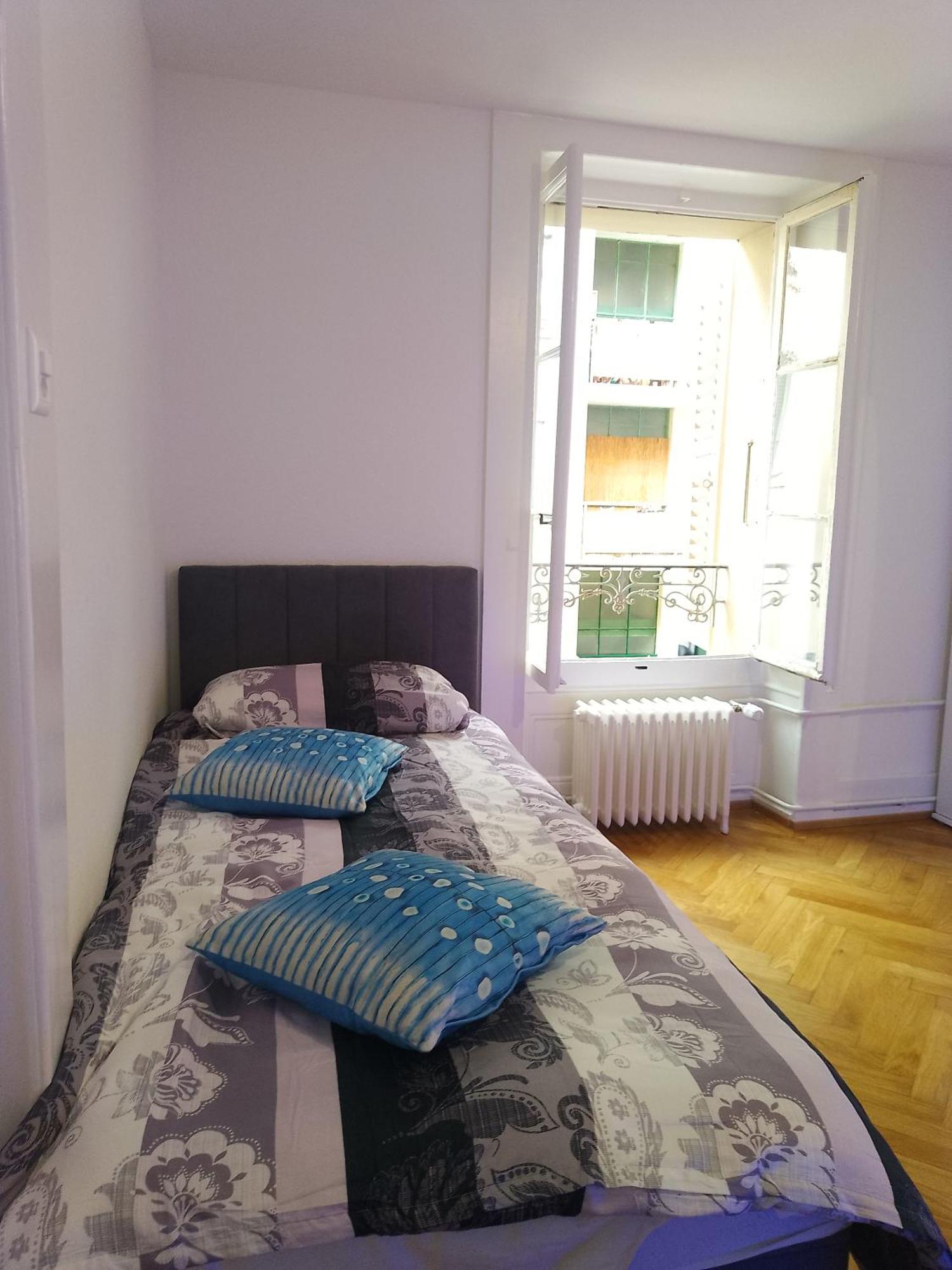 Charming Flat Center And Near The Lake Geneva Exterior photo